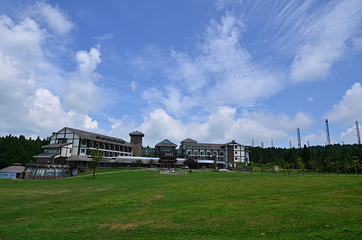 仙女山国家森林公园第 125 张图片