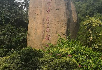 怪坡第 13 张图片