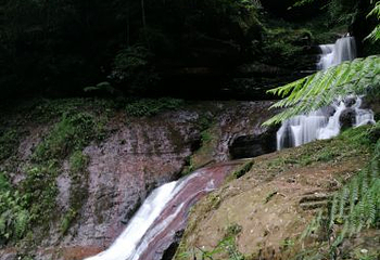 赤水丹霞旅游区·燕子岩第 26 张图片