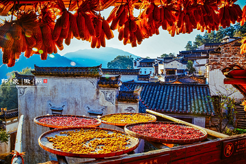 婺源篁岭景区第 257 张图片