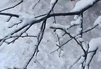 武隆天生三桥第 174 张图片