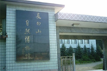 长白山自然博物馆第 41 张图片