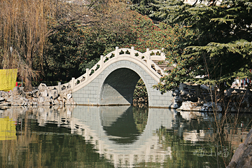 西苑公园第 6 张图片