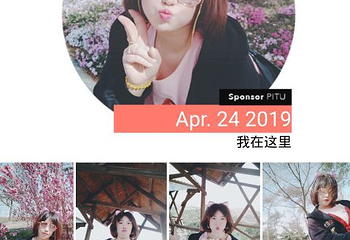 龙王塘樱花园第 13 张图片