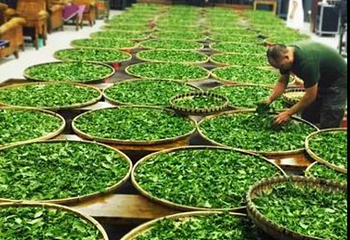 茶马古城第 11 张图片