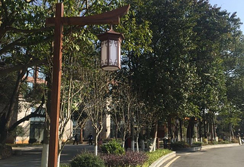 九岭森林温泉度假村第 39 张图片