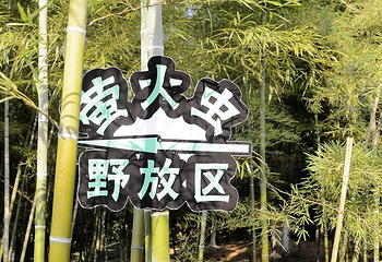 天际岭第 5 张图片
