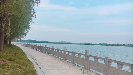 鄢陵鹤鸣湖国家湿地公园第 20 张图片