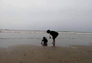 银沙滩生态园第 3 张图片