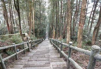 真佛山景区第 24 张图片