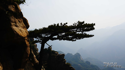 桃源仙谷自然风景区第 18 张图片