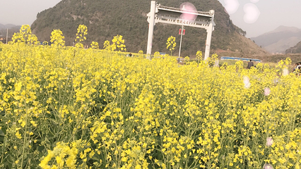 宝镜古民居第 10 张图片