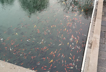 济南宽厚里第 15 张图片