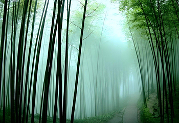 蜀南竹海第 2 张图片