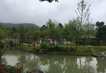莲云谷温泉第 24 张图片