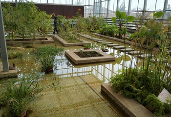 花海情人谷第 8 张图片