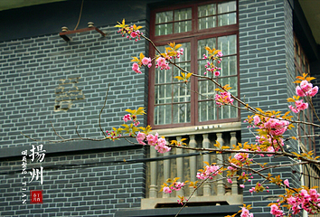 扬州大学(荷花池校区)第 5 张图片