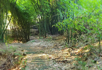福宝古镇第 20 张图片