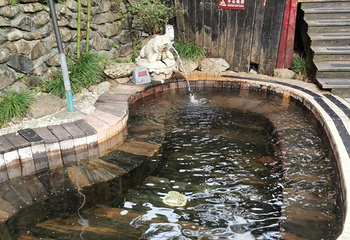 宁海森林温泉第 38 张图片