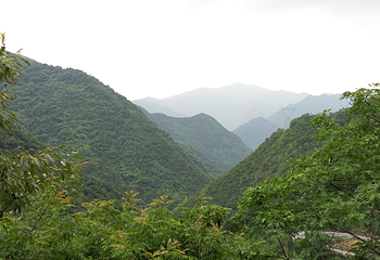 秦岭第 18 张图片