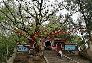 陈子昂故里第 15 张图片