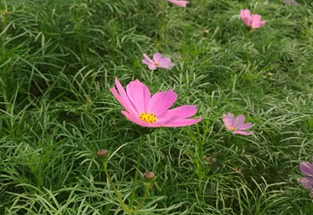 汤泉温泉度假村第 14 张图片