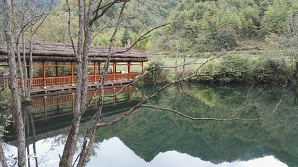 神农天池景区第 24 张图片