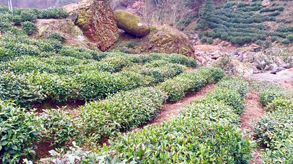 红石谷风景区第 17 张图片