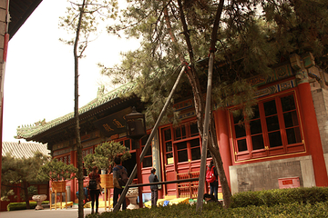 勅建弘慈广济寺第 16 张图片