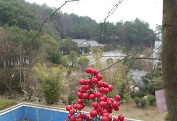 醉石温泉第 15 张图片