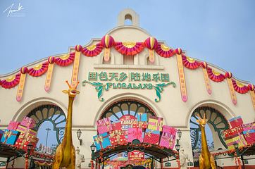 国色天乡陆地乐园第 73 张图片
