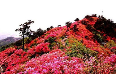 龙肘山第 5 张图片