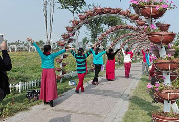 鄢陵五彩大地景区第 33 张图片