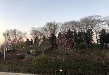 中环格林童话世界第 4 张图片