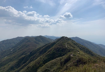 大围山国家森林公园第 79 张图片