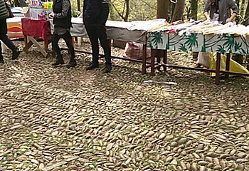 烂柯山第 25 张图片