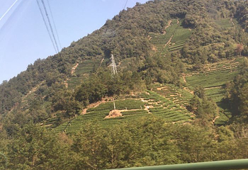 黄山太平索道第 25 张图片