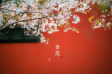 南京市博物馆(朝天宫)第 73 张图片