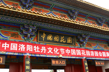 中国国花园第 137 张图片