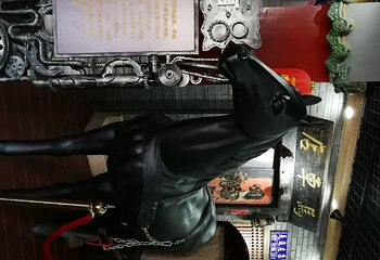 道路交通博物馆第 31 张图片