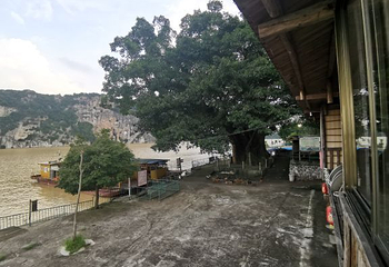 崖山景区第 14 张图片