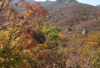 大黑山景区第 47 张图片
