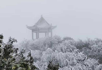 阳明山国家森林公园第 41 张图片