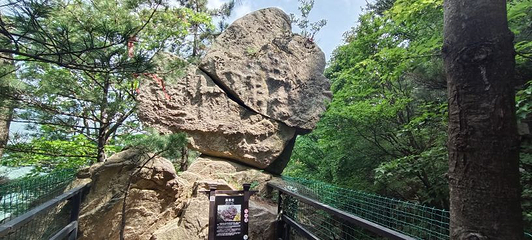 老界岭旅游度假区第 86 张图片