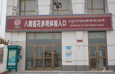八瓣莲花非物质文化遗产传承体验中心第 41 张图片