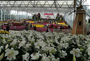 梨花溪风景区第 14 张图片