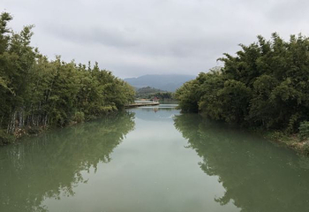 苏家围·东江画廊旅游景区第 21 张图片