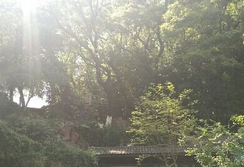 九山公园第 11 张图片