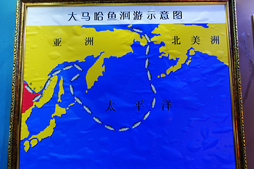 北大荒鱼展馆第 16 张图片