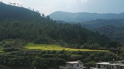 坪山梯田旅游区第 15 张图片